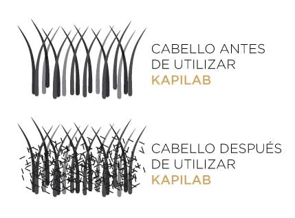 fibras de kapilab